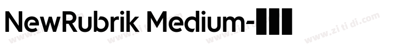 NewRubrik Medium字体转换